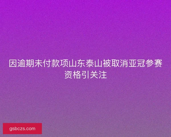 因逾期未付款项山东泰山被取消亚冠参赛资格引关注