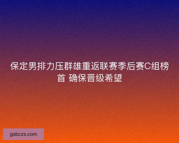 保定男排力压群雄重返联赛季后赛C组榜首 确保晋级希望