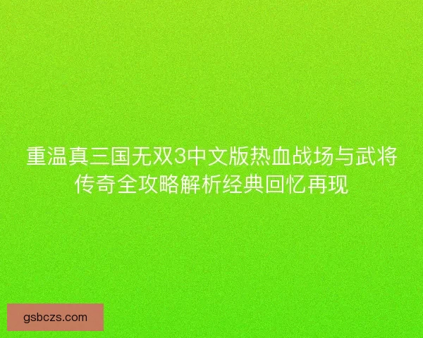 重温真三国无双3中文版热血战场与武将传奇全攻略解析经典回忆再现